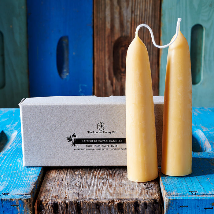 BRITISH BEESWAX CANDLES: Giant Stubby Pair in Gift Box