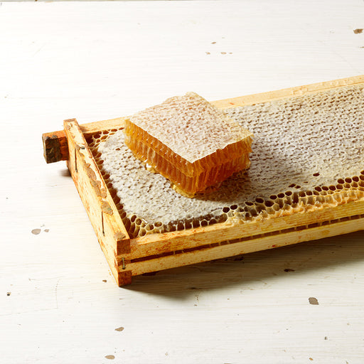 Whole honeycomb with a slice of honeycomb