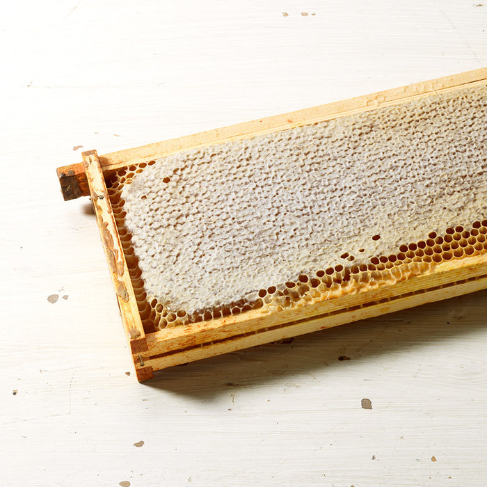 Whole honeycomb
