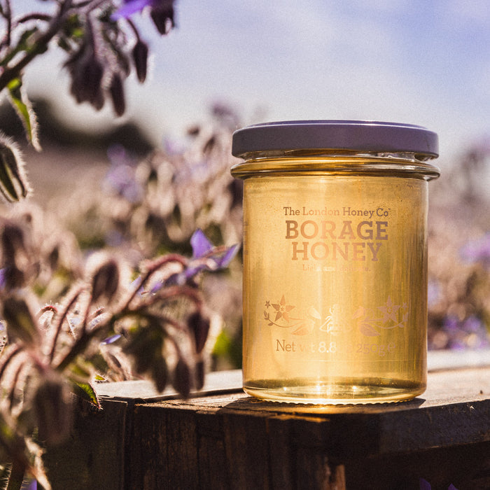 BORAGE BLOOM - BRITISH BEESWAX CANDLES In Gift Box